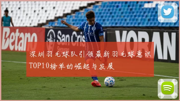 深圳羽毛球队引领最新羽毛球意识TOP10榜单的崛起与发展