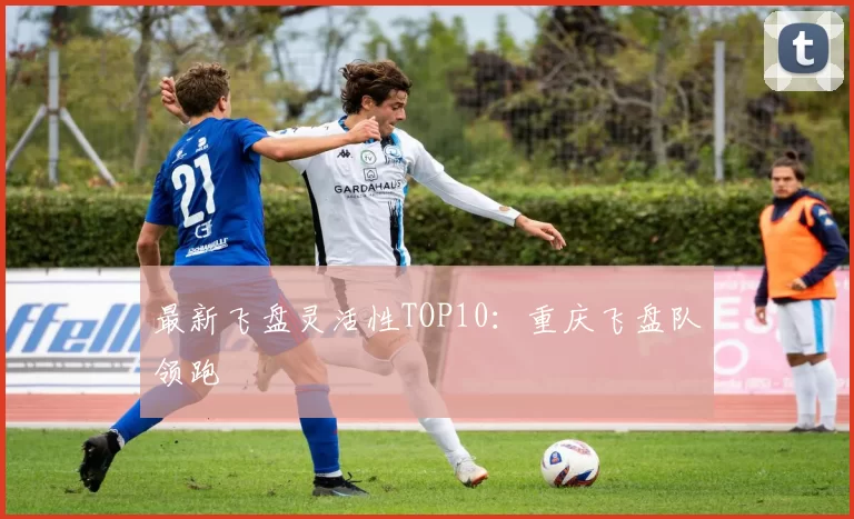 最新飞盘灵活性TOP10：重庆飞盘队领跑