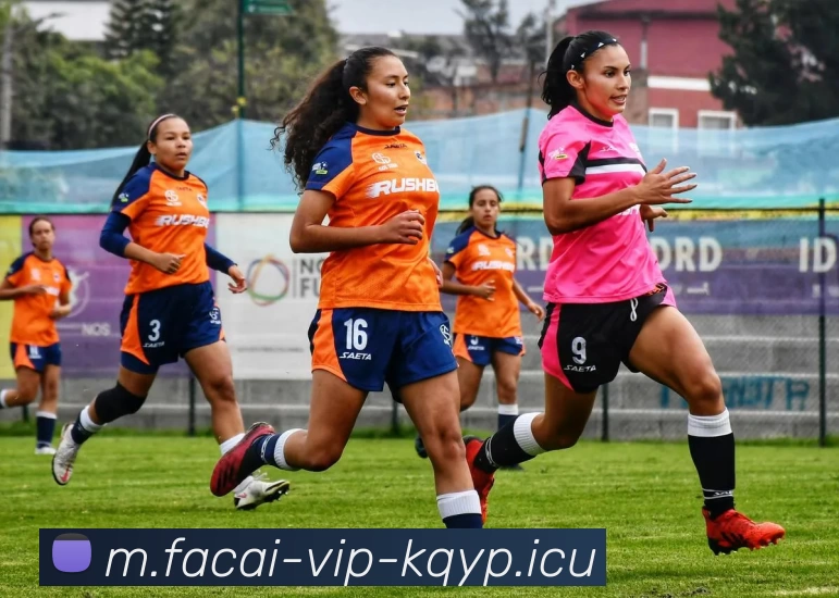 乐鱼体育平台生态图